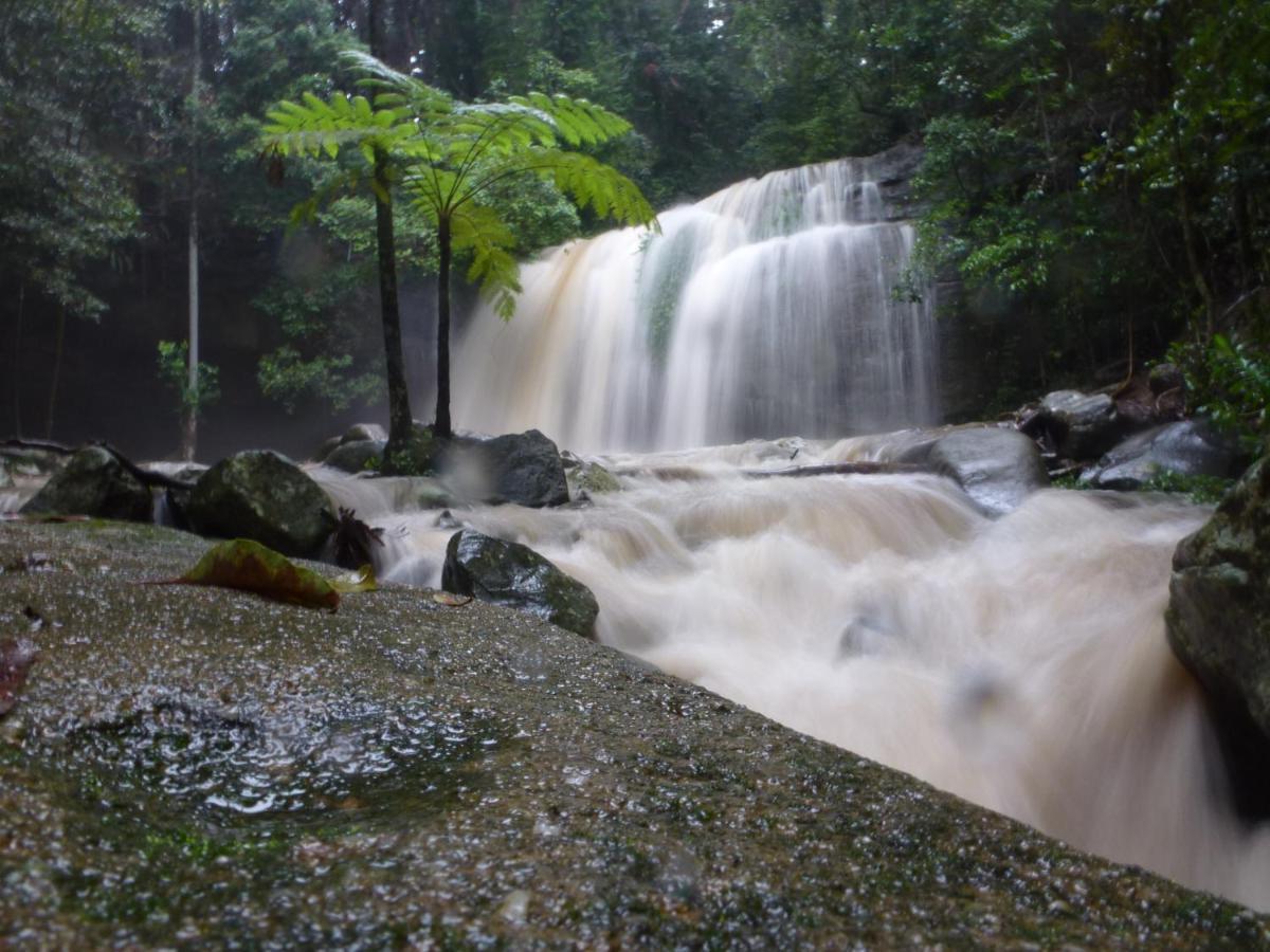 Bed and breakfast Buderim Forest Hideaway Extérieur photo