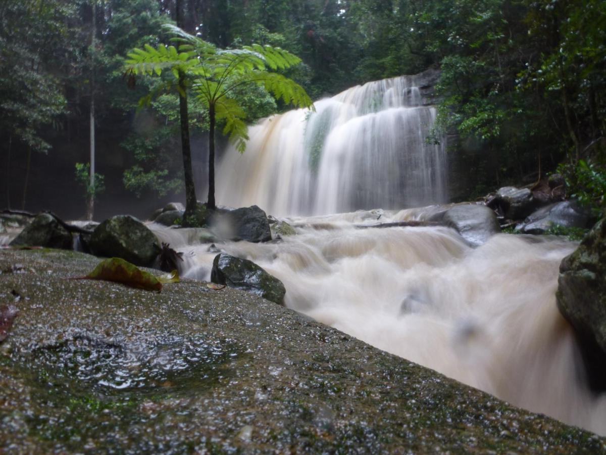 Buderim Forest Hideaway Extérieur photo