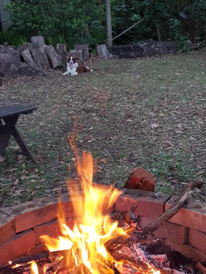 Bed and breakfast Buderim Forest Hideaway Extérieur photo