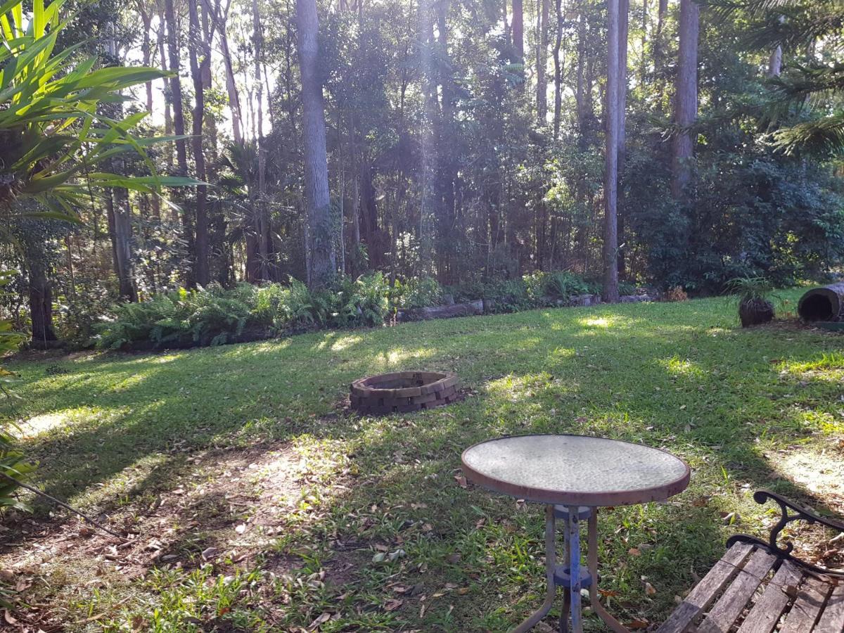 Bed and breakfast Buderim Forest Hideaway Extérieur photo