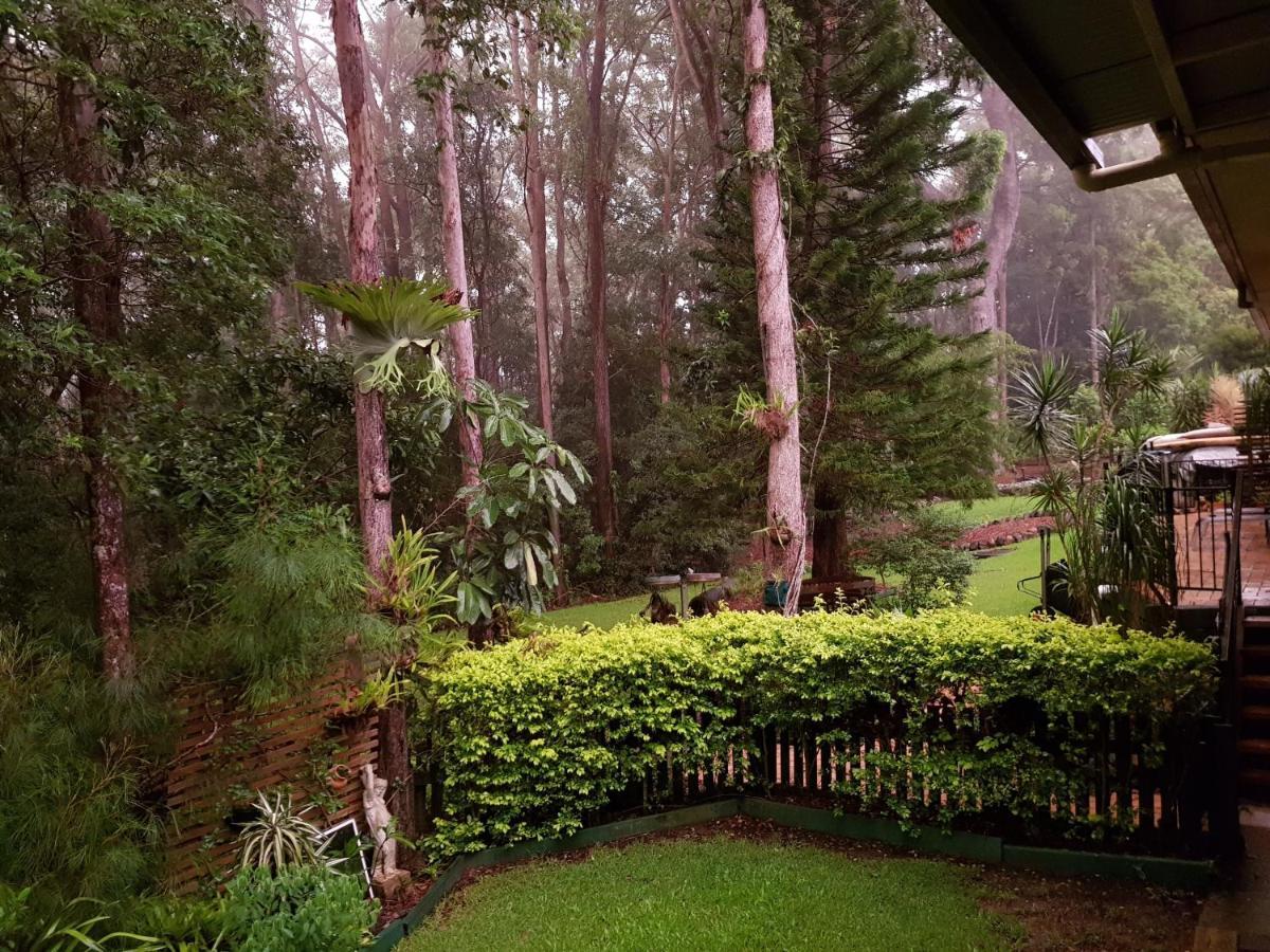 Bed and breakfast Buderim Forest Hideaway Extérieur photo